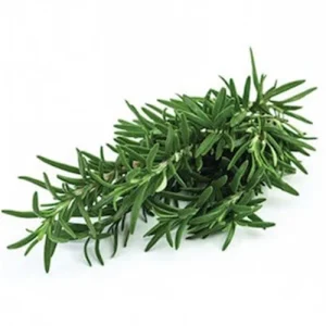 Biberiye (Rosemary)