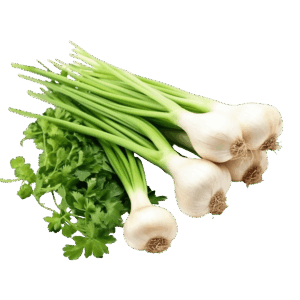 Frenk Soğanı (PKT)